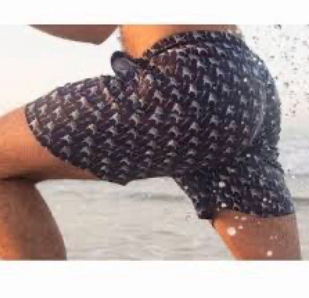 Birddogs men size M athletic swim lined shorts blue Pegasus print